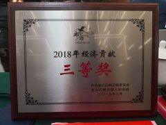 2019枫泾召开优化营商环境会议,德耐尔荣获贡献奖