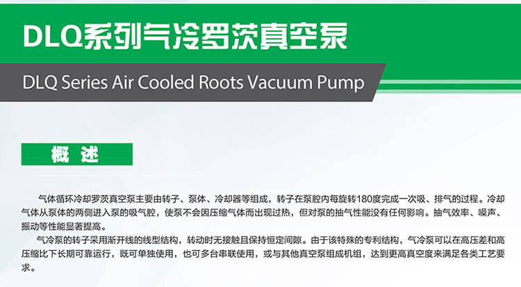 DLQ系列气冷罗茨真空泵