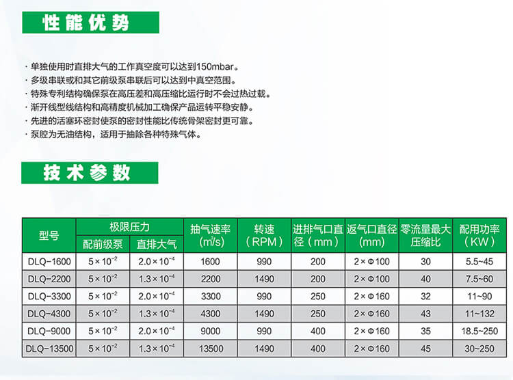 DLQ系列气冷罗茨真空泵