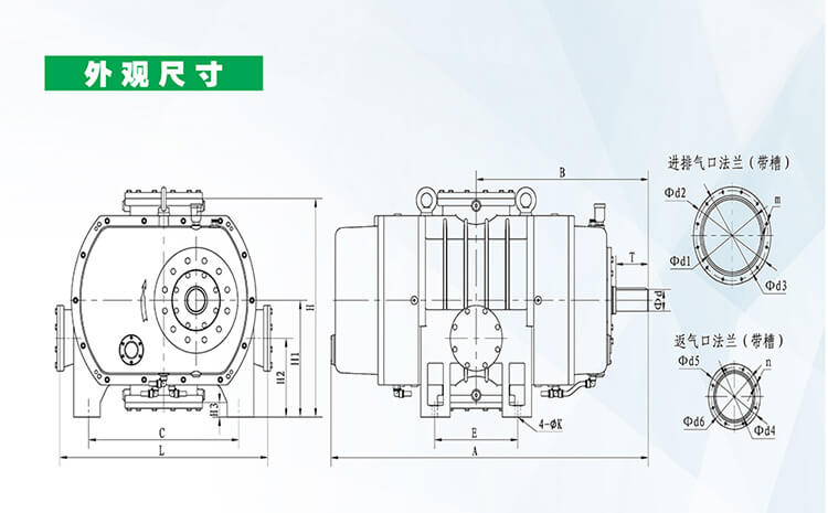 DLQ系列气冷罗茨真空泵