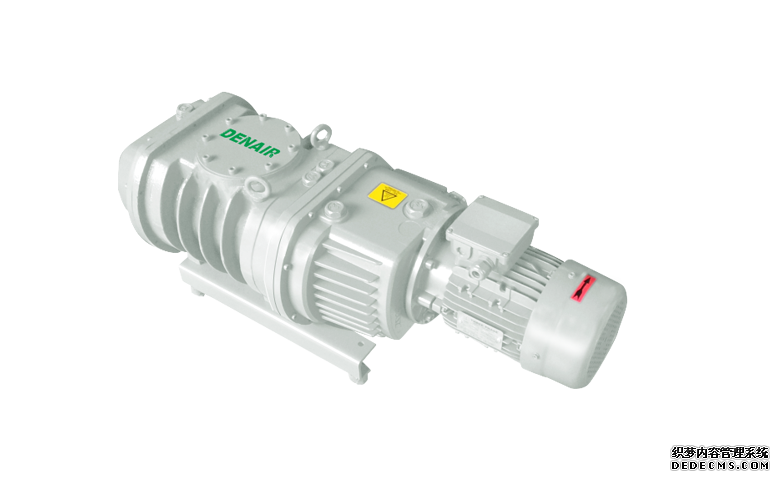 罗茨真空泵是干什么用的